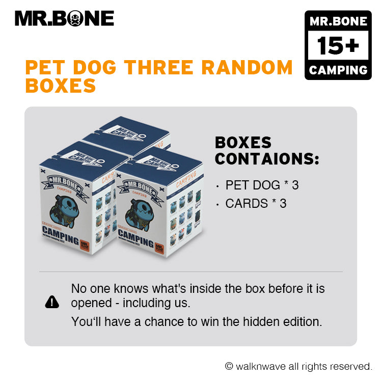 Pet dog three random boxes