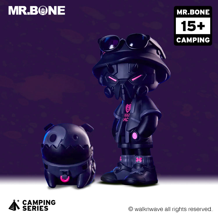 Single random box and one dog box of the camping series