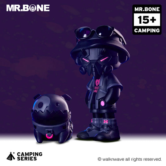 Single random box and one dog box of the camping series