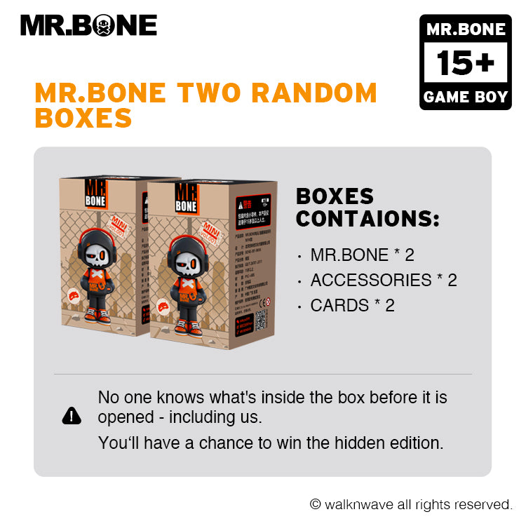 Two random boxes of the game boy series