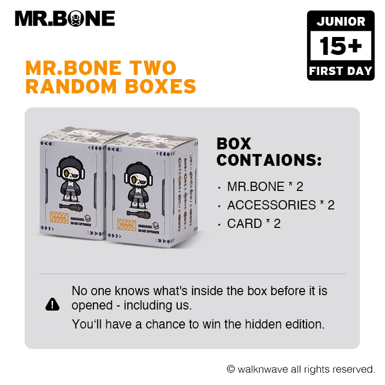 Two random boxes of the Junior First Day series