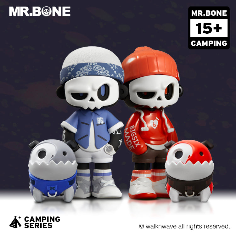 Two random boxes and two dog boxes of the camping series