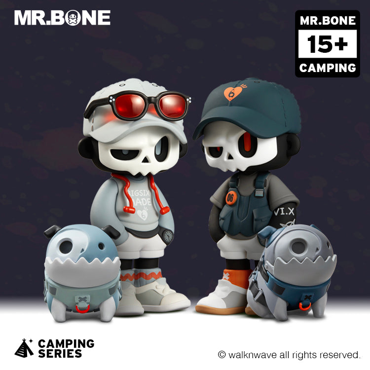 Two random boxes and two dog boxes of the camping series