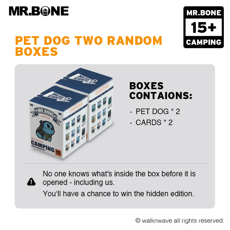 Pet dog two random boxes