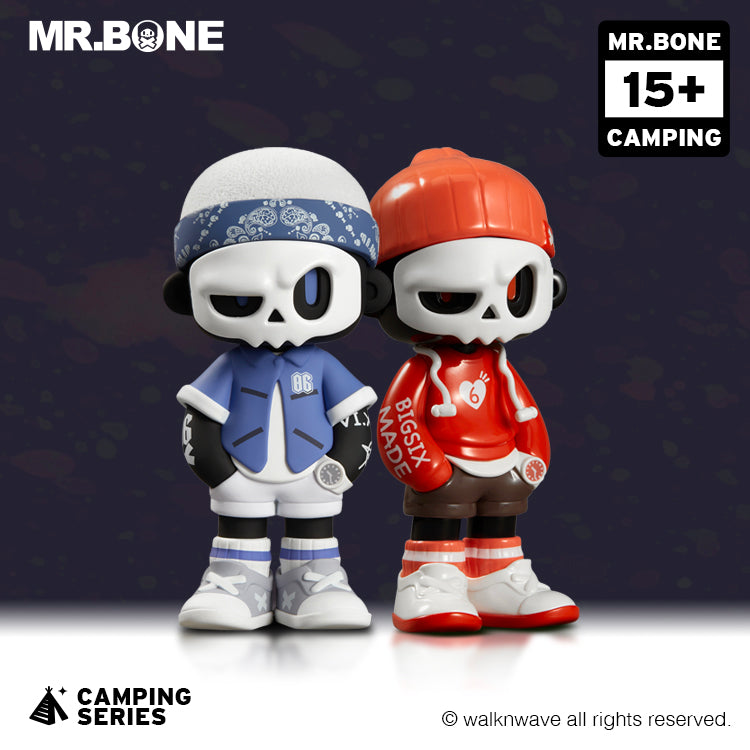 Two random boxes of the camping series