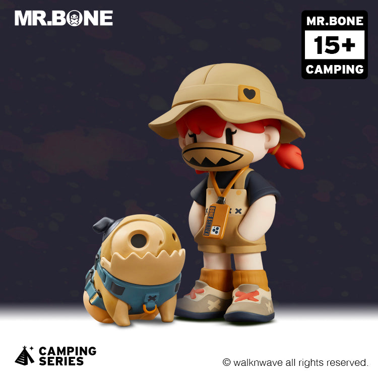 Single random box and one dog box of the camping series