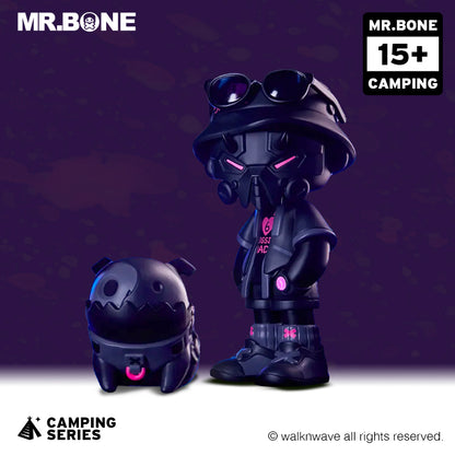 Single random box and one dog box of the camping series