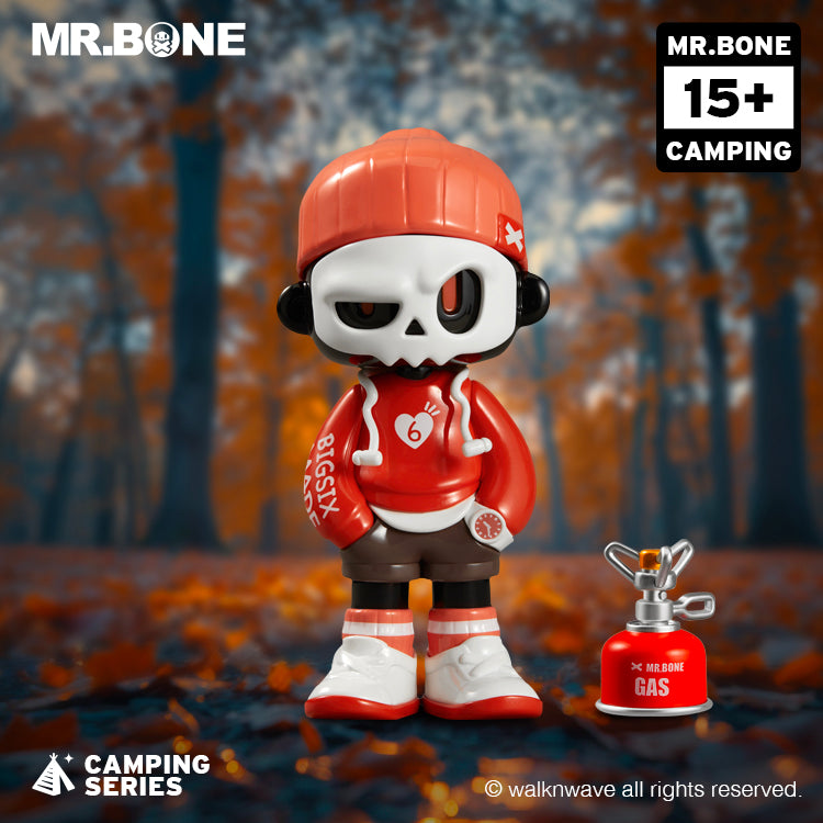 Single random box of the camping series