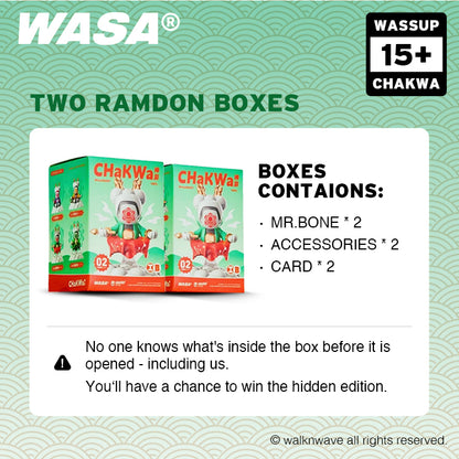 Two random boxes of WASA Chakwa206 series