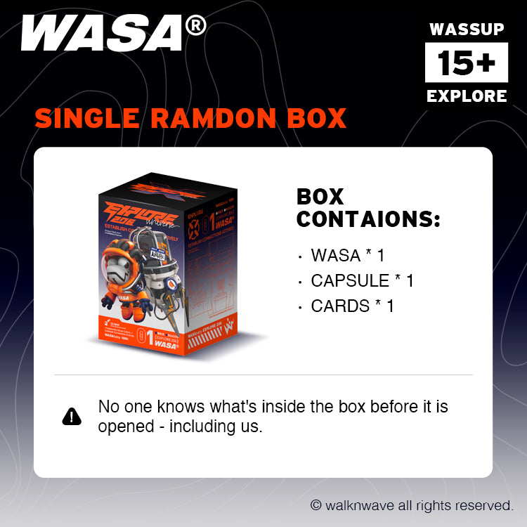 SIngle random box of WASA EXPLORE206 series