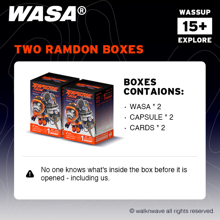 Two random boxes of WASA EXPLORE206 series