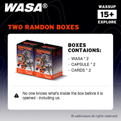 Two random boxes of WASA EXPLORE206 series