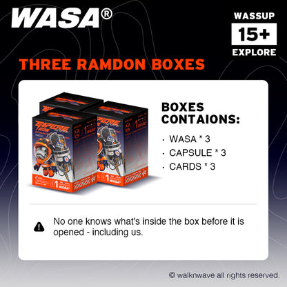 Three ramdon boxes of WASA EXPLORE206 series