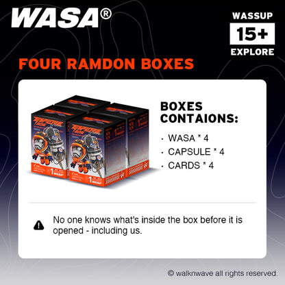 Four random boxes of WASA EXPLORE206 series