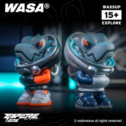 Two random boxes of WASA EXPLORE206 series