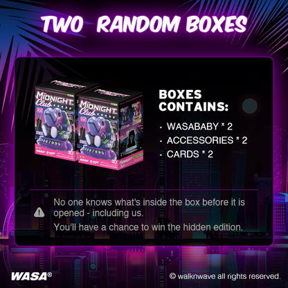 Two Random boxes of WASA Midnight206 Dashboard Series