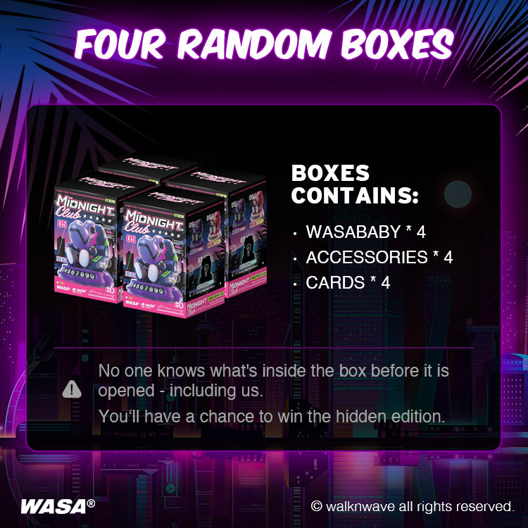 Four Random boxes of WASA Midnight206 Dashboard Series